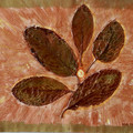 37 Leaves 5.jpg
